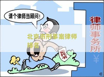 北京有名刑事案律师事务所