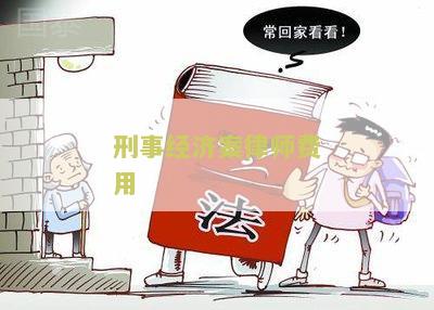 刑事经济案律师费用