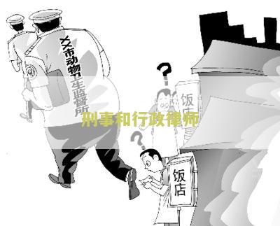 刑事和行政律师