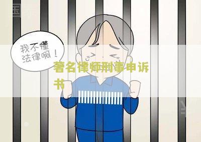 著名律师刑事申诉书