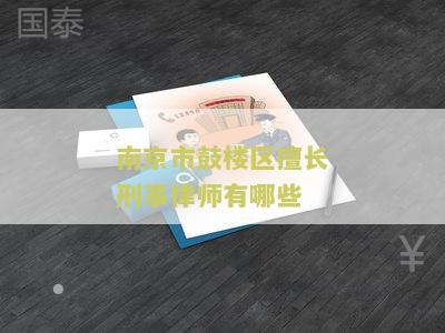 南京市鼓楼区擅长刑事律师有哪些公司名单