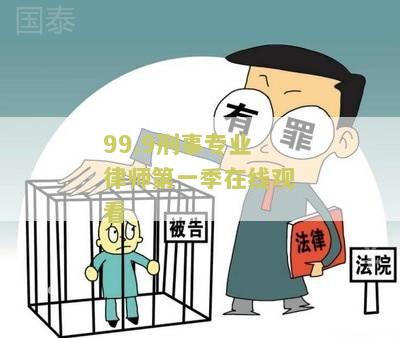 99.9刑事专业律师第一下载