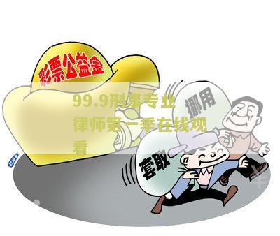 99.9刑事专业律师第二及下载