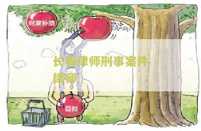 长春律师刑事案件律师