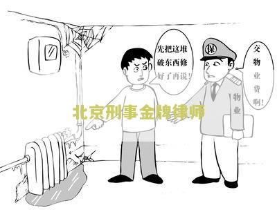 北京刑事金牌律师