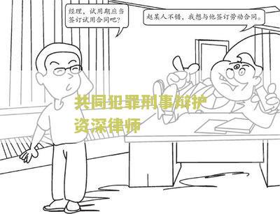 共同犯罪刑事辩护资深律师揭示成功策略