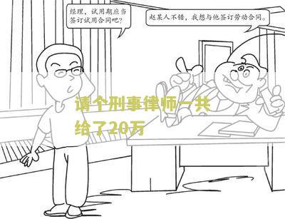请个刑事律师一共给了20万，这是否合理？