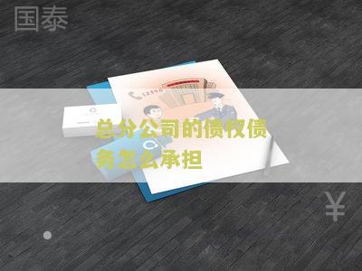 总分公司的债权债务怎么承担？法律依据与分公司的债务承担相关吗？