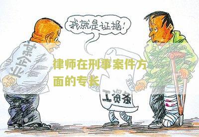 律师在刑事案件方面的专长
