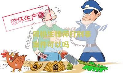 律师打刑事案件可以吗？寻求专业律师服务