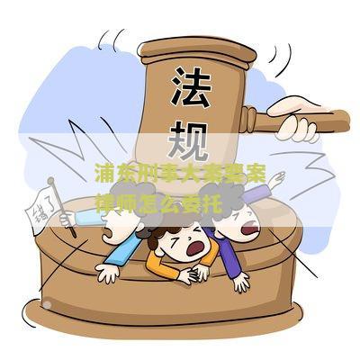 浦东刑事大案要案律师怎么委托？寻找专业律师解决法律问题！