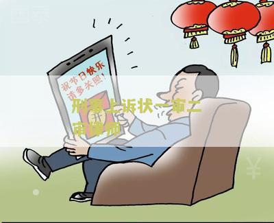 刑事上诉状一审二审律师：为什么需要专业律师处理刑事上诉案件？