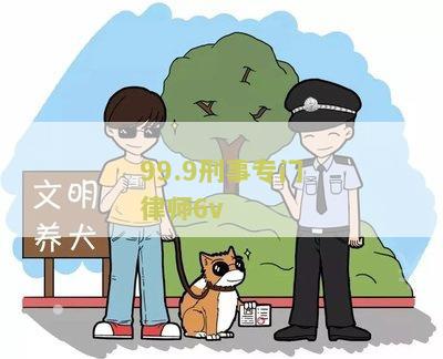 99.9刑事专门律师6v: 寻找法律咨询和辩护服务