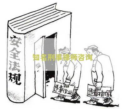 知名刑事律师咨询：我需要咨询一位知名刑事律师的建议