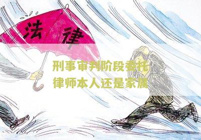 刑事审判阶委托律师本人还是家属？如何做出明智选择