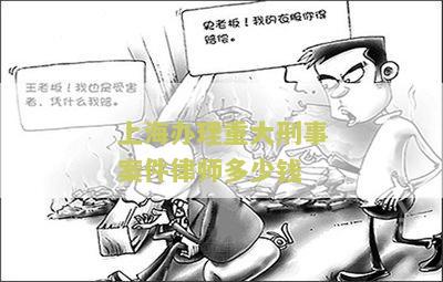 上海办理重大刑事案件律师费用一般是多少