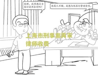 上海市刑事案再审律师收费标准及解析