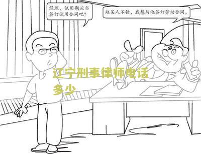 辽刑事律师电话多少？了解辽刑事律师服务，快速获取律师联系方式！