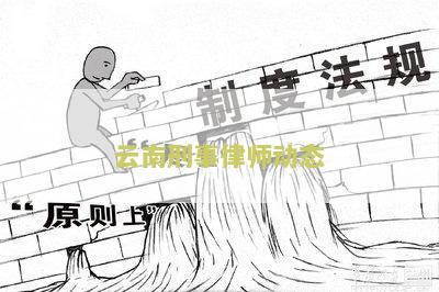 云南刑事律师动态：最新法律变化与案例分析！
