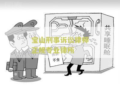 宝山刑事诉讼律师正规专业律所：全面解析刑事诉讼程序及相关法律规定