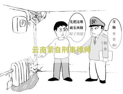 云南自刑事律师事务所