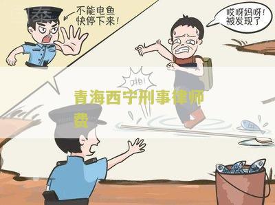 青海西刑事律师费查询及咨询服务需求