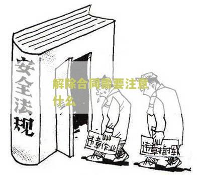 解除合同需要注意什么？请提供相关信息。