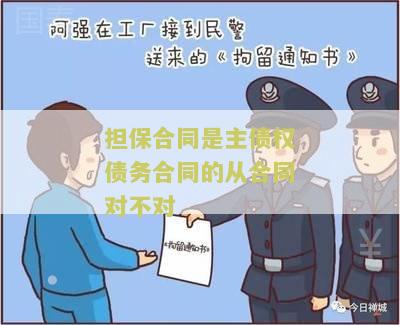 担保合同是主债权债务合同的从合同对不对 - 用户需求