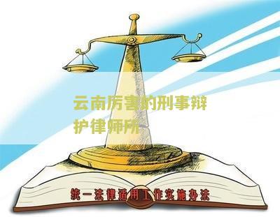 云南害的刑事辩护律师所排名