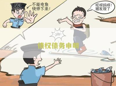 《债权债务申明：解读债务人与债权人权益保护的关键》