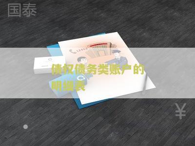 债权债务类账户的明细表用户需求：债权债务类账户的明细表如何查询和管理？