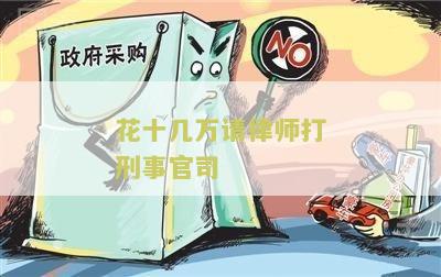 花十几万请律师打刑事官司：寻求专业律师提供高质量的刑事辩护服务