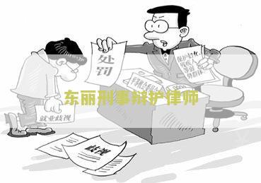 东丽刑事辩护律师：如何选择合适的法律代理人？