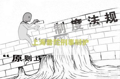 上海普陀刑事辩护：寻求专业律师提供合法维权服务