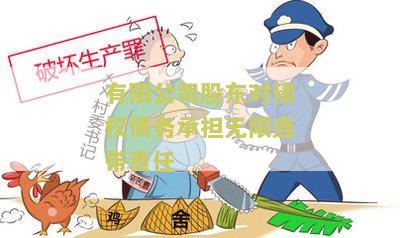 股东对债权债务承担无限连带责任