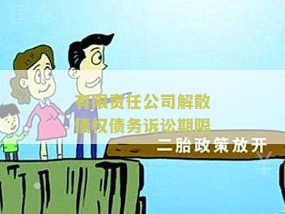 有限责任公司解散债权债务诉讼期限：你需要了解的关键信息