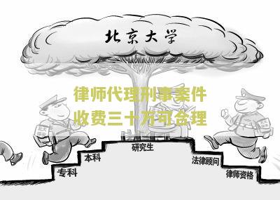 律师代理刑事案件收费三十万可合理