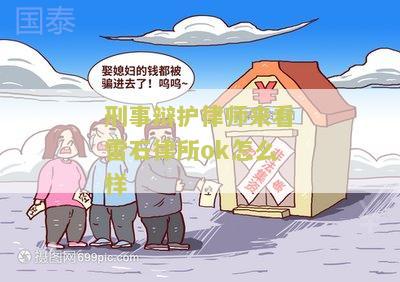 刑事辩护律师来看雷石律所ok怎么样？寻求专业法律帮助的用户需求