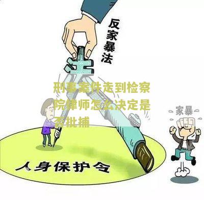 刑事案到律师该做些什么事情