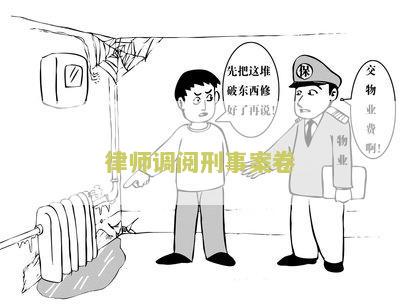 律师调阅刑事案卷需要多久完成及出结果的流程