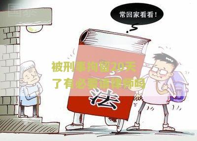 被刑事拘留20天了有必要请律师吗视频播放