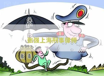张强律师个人简历及海南、上海的