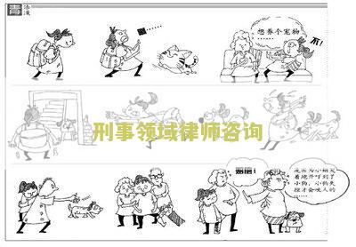 刑事领域律师咨询
