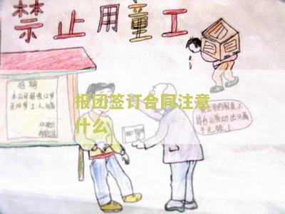 报团签订合同注意什么