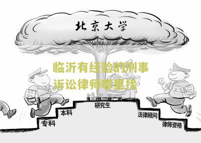 临沂有经验的刑事诉讼律师哪里找