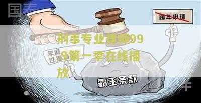 99.9:刑事专业律师第二-99.9:刑事专业律师第二 网盘高清