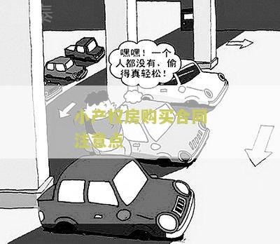 小产权房购买合同注意点：我需要了解小产权房购买合同的注意事，请帮忙提供相关信息。