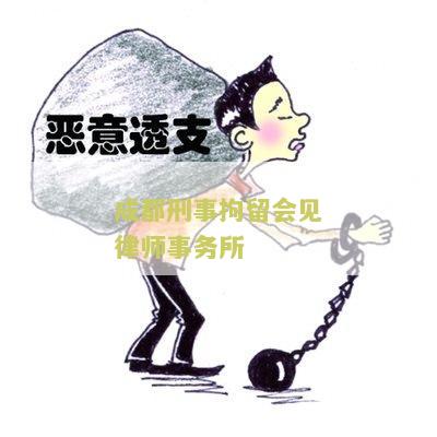 成都刑事拘留会见律师事务所：用户需求及解决方案