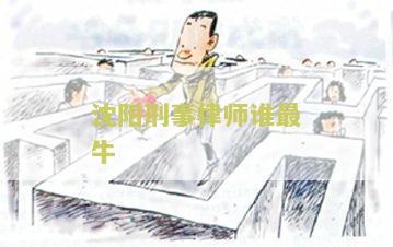 沈阳刑事律师谁最牛？了解沈阳顶级刑事律师排名！