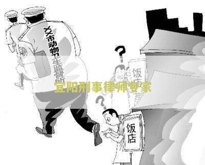 宜阳刑事律师专家揭秘：如何选择合适的刑事律师？